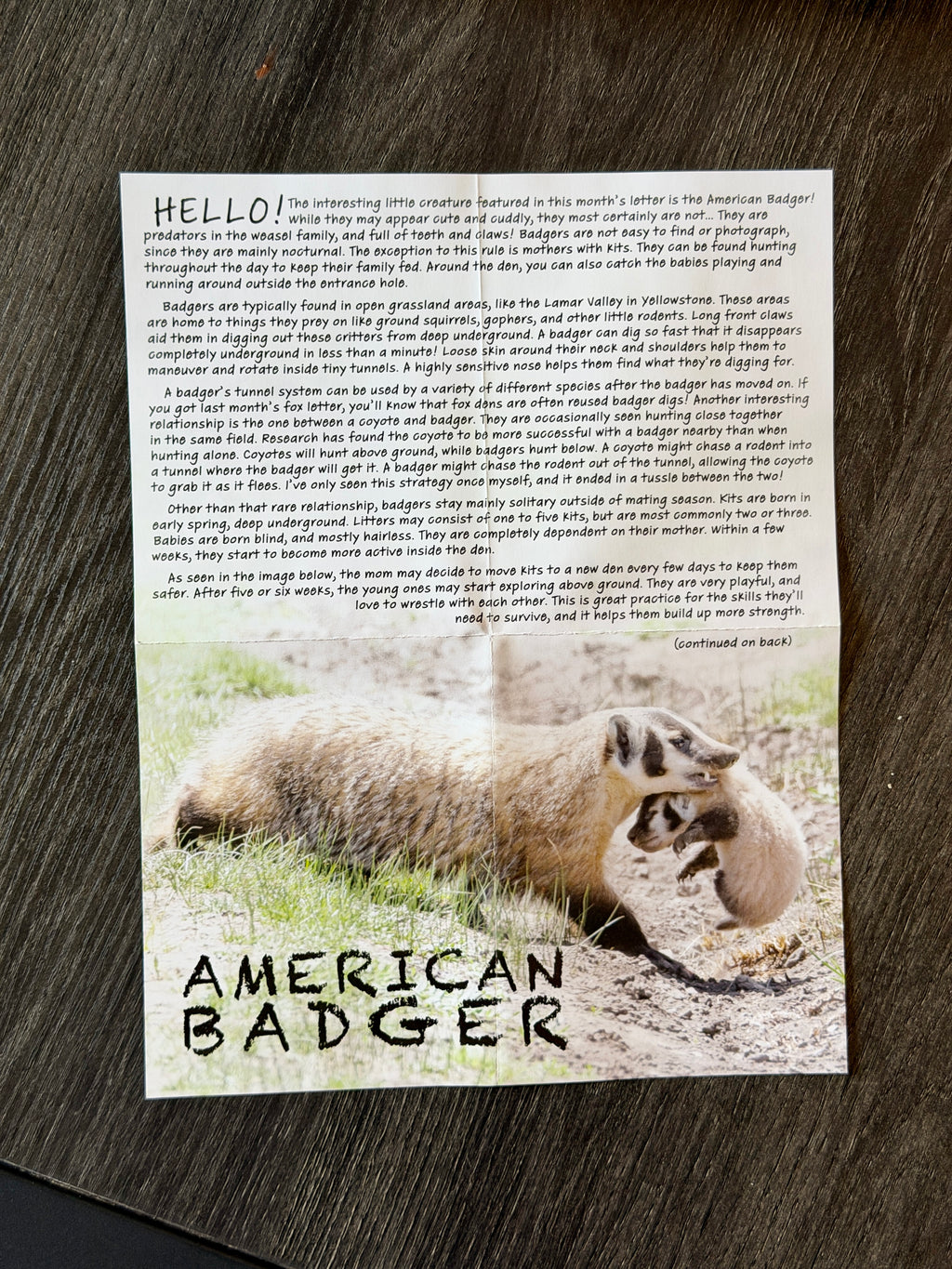 Past Letters Bundle (7 Animals)