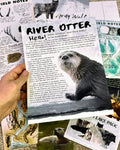 Monthly Wildlife Letter
