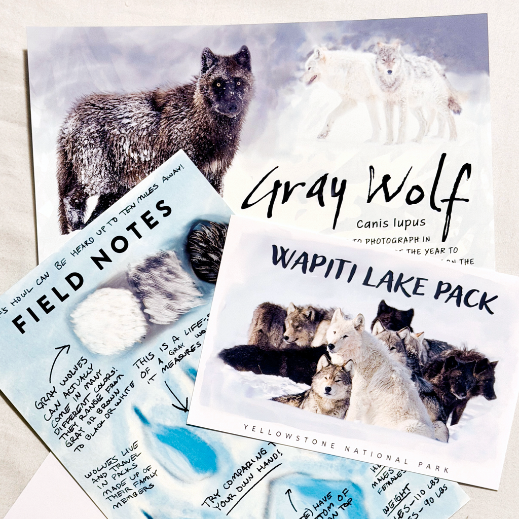 Past Letters Bundle (7 Animals)